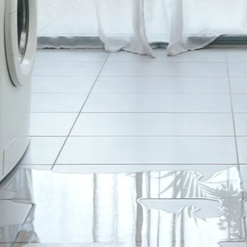 Appliance Leak Cleanup in Crosby County, TX