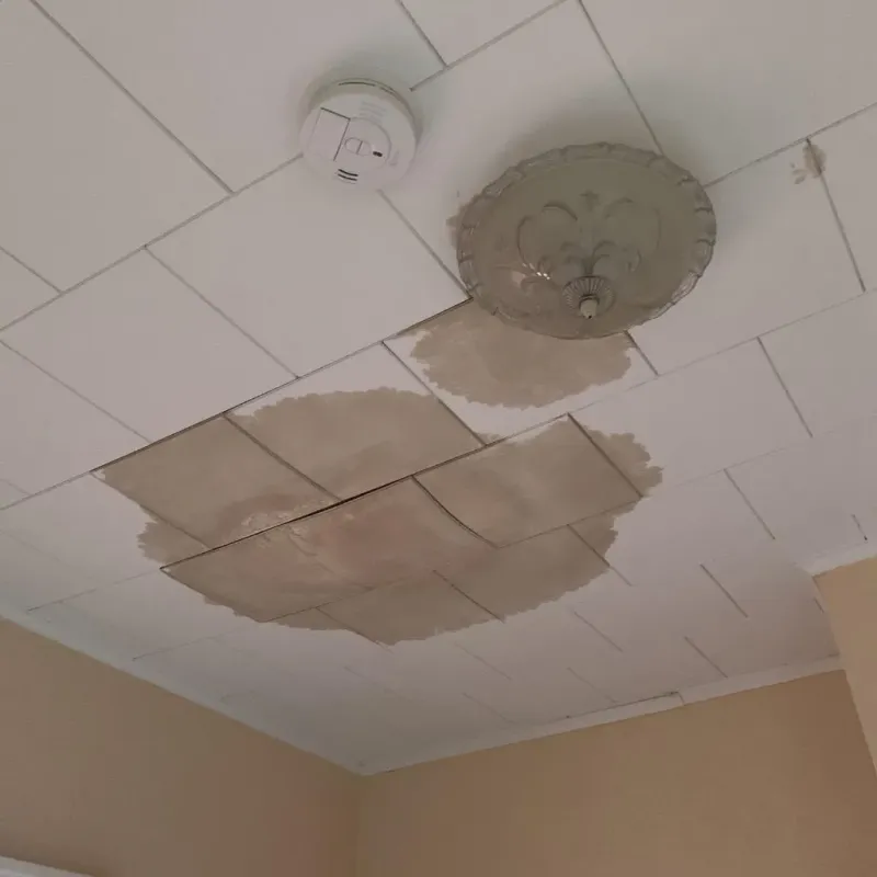 Ceiling Water Damage Repair in Crosby County, TX