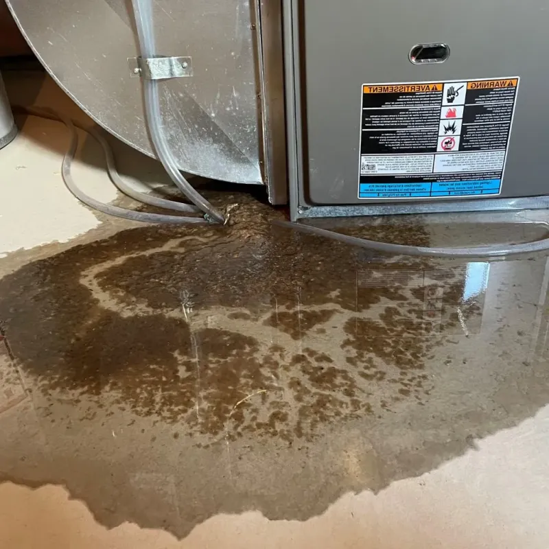 Pipe Burst and Leak Restoration in Crosby County, TX