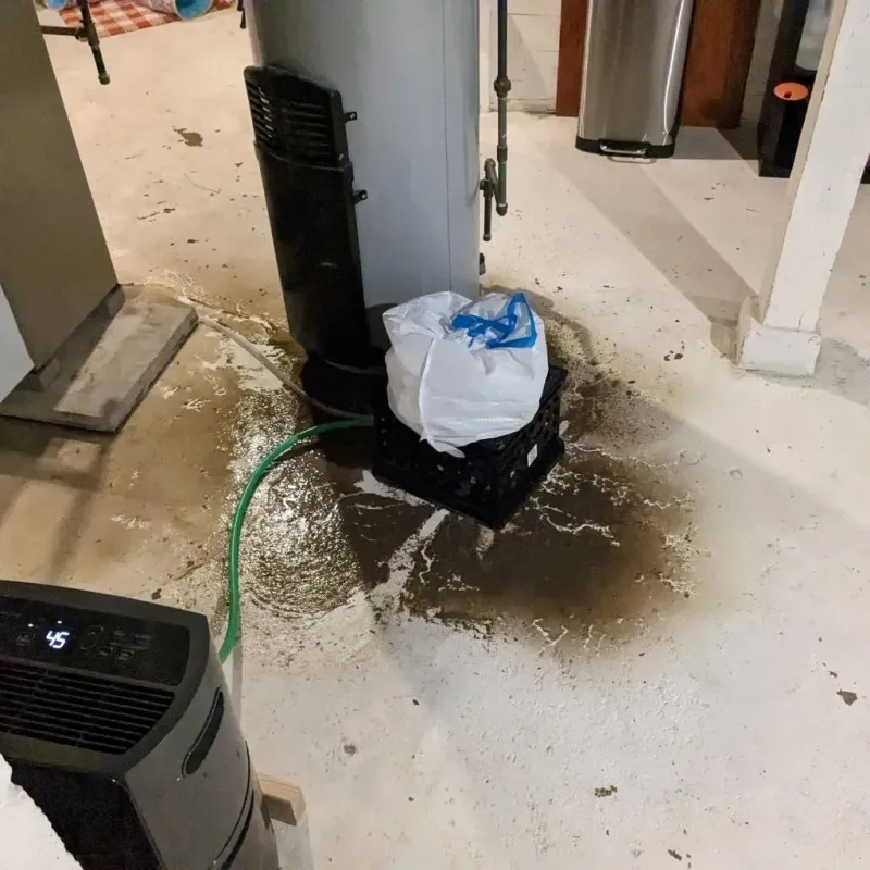 Sewage Backup Cleanup Service in Crosby County, TX